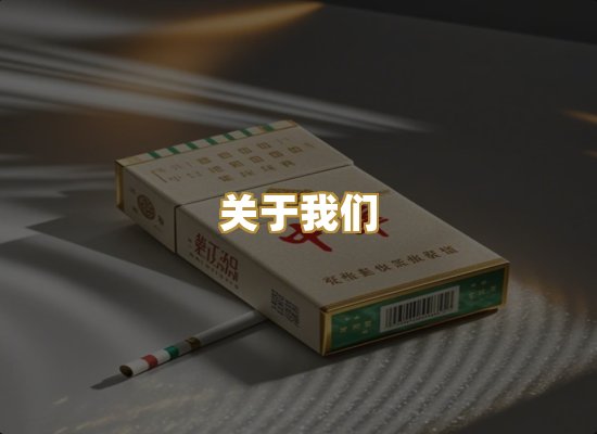 关于我们